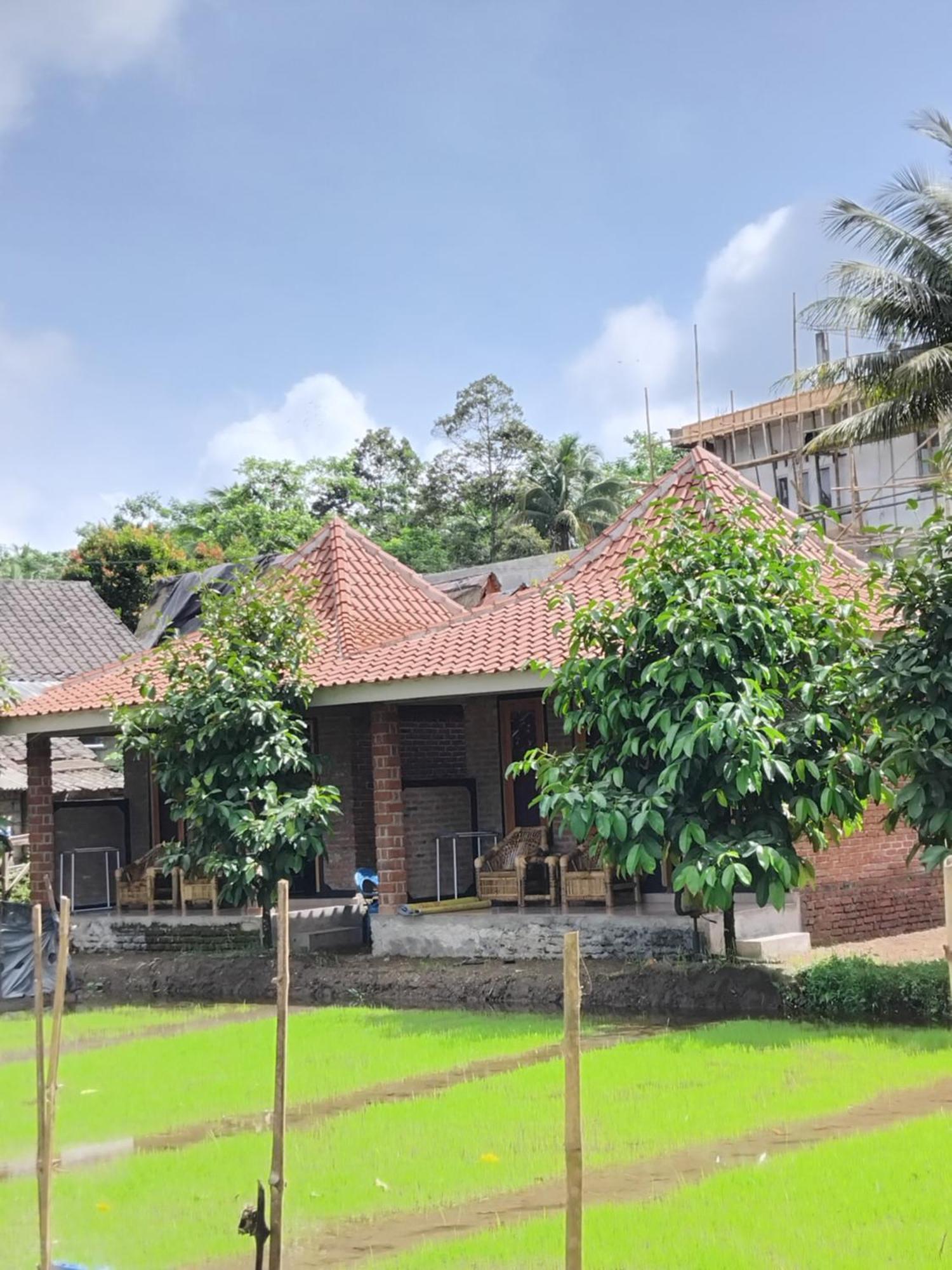 טטבאטו Tereng Wilis Bungalows חדר תמונה