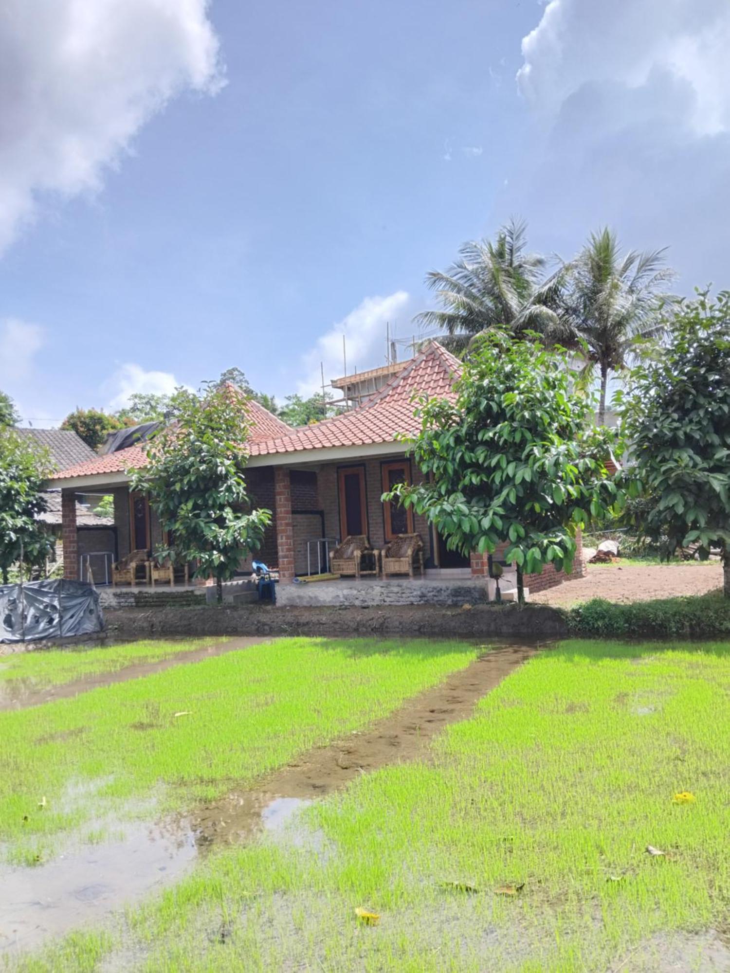 טטבאטו Tereng Wilis Bungalows מראה חיצוני תמונה
