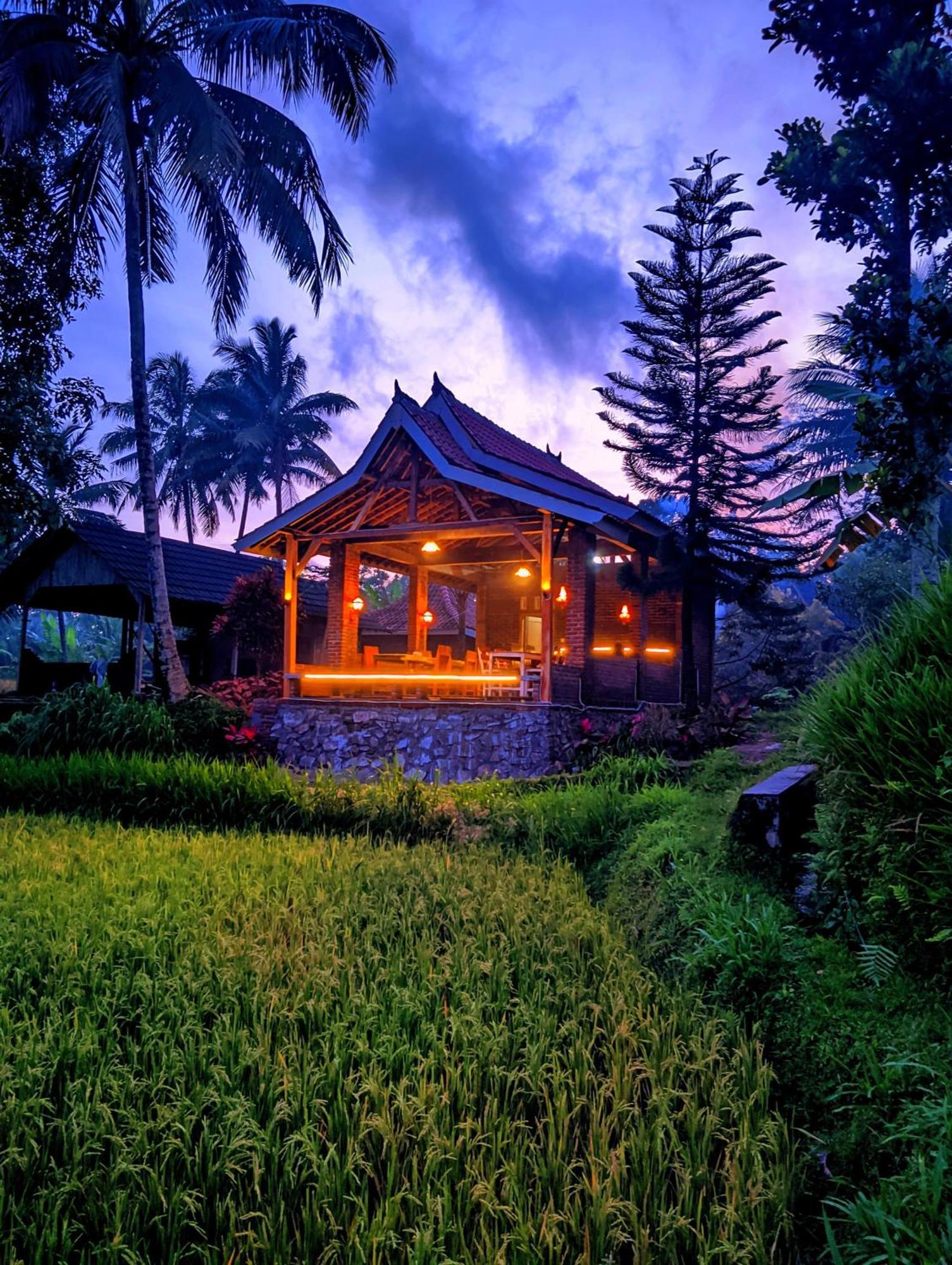 טטבאטו Tereng Wilis Bungalows מראה חיצוני תמונה