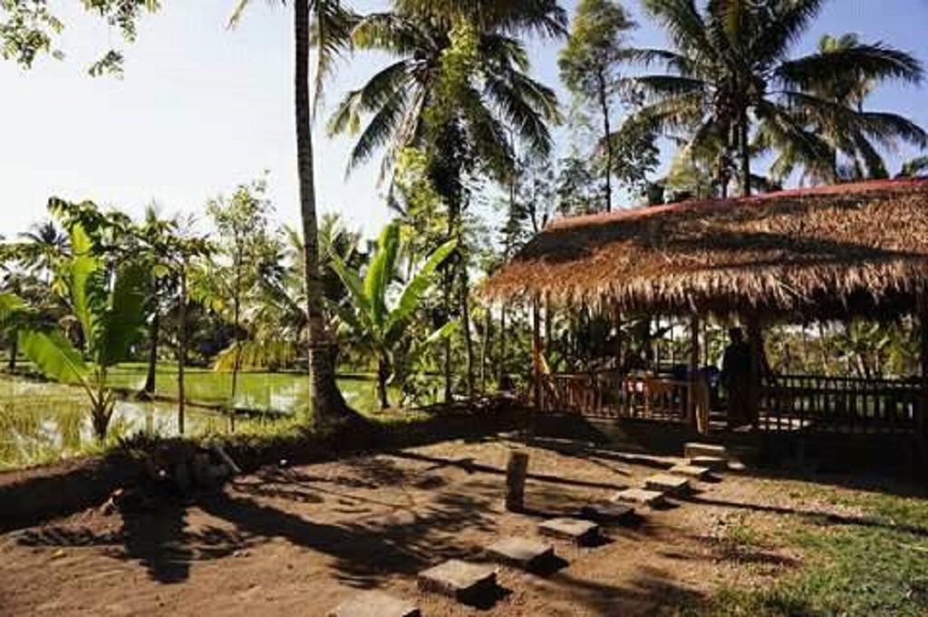 טטבאטו Tereng Wilis Bungalows מראה חיצוני תמונה